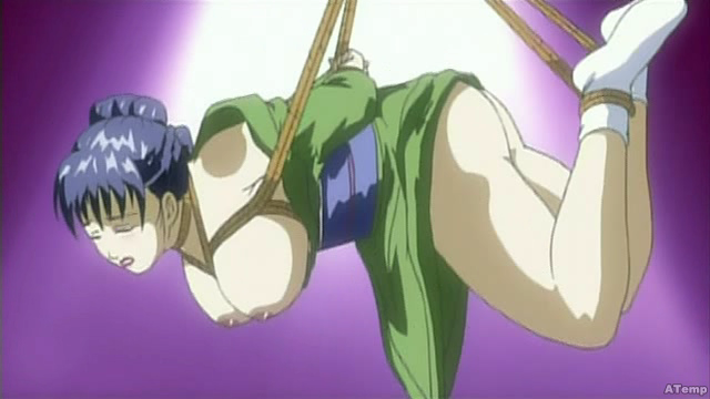 Ryokan Shirasagi (Anime Tempest)